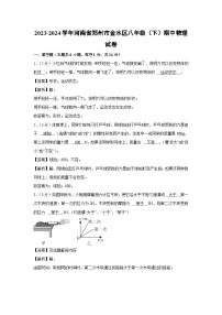 【物理】河南省郑州市金水区2023-2024学年八年级下学期期中物理试卷