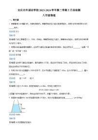 安徽省安庆市大观区安庆市外国语学校2023-2024学年八年级下学期5月月考物理试题