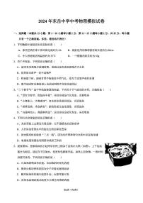 2024年山东省泰安市东岳中学中考二模物理试卷