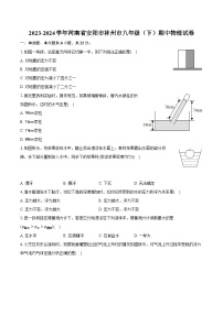 2023-2024学年河南省安阳市林州市八年级（下）期中物理试卷（含解析）