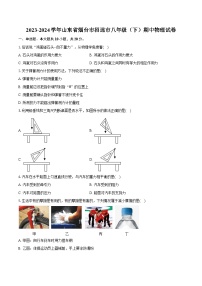 2023-2024学年山东省烟台市招远市八年级（下）期中物理试卷（含解析）