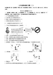 2024年山东省泰安市中考三模物理试题