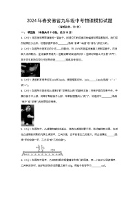 2024年春安徽省九年级中考物理模拟试题（含答案）
