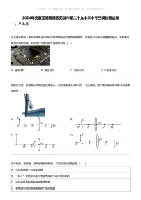 2024年安徽芜湖镜湖区芜湖市第二十九中学中考三模物理试卷