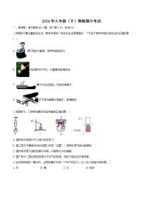 湖南省岳阳市湘阴县白湖乡中学2023-2024学年九年级下学期5月期中物理试题