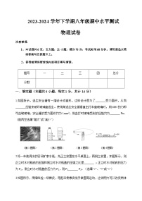 河南省新乡市原阳县2023-2024学年八年级下学期4月期中物理试题含答案