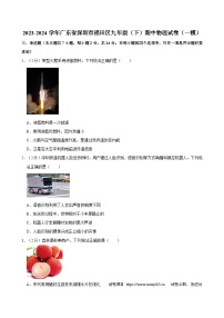 12，广东省深圳市福田区2023-2024学年九年级下学期期中物理试卷（一模）