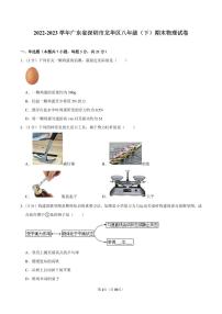 2022-2023学年深圳市龙华区八年级下学期期末物理试卷及答案