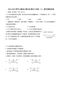 云南省玉溪市红塔区2023-2024学年九年级上学期期末物理试卷