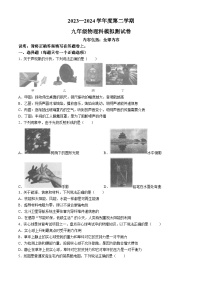 2024年广东省汕头市潮南区陈店实验学校联考中考三模物理试题