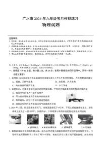 2024年湖北省广水市九年级（中考三模）考试物理试题