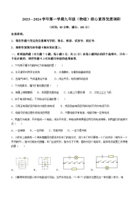 广东省湛江市赤坎区2023-2024学年九年级上学期期末核心素养发展调研物理试题含答案