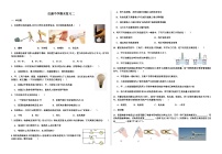 江苏省徐州市沛县汉源中学2023-2024学年上学期九年级物理期末物理试题二含答案