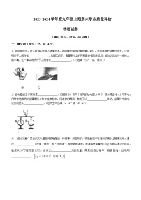 河南省漯河市召陵区2023-2024学年九年级上学期1月期末物理试题含答案