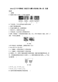 2024辽宁中考物理二轮复习专题专项训练 第4讲 压强 (含答案)