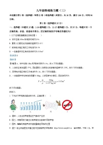 2024年山东省泰安市中考三模物理试题