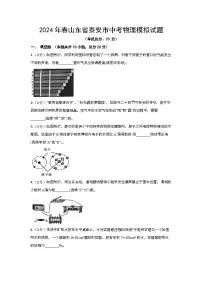 2024年春山东省泰安市中考物理模拟试题（含答案）