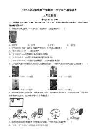 2024年广东省深圳市宝安中学（集团）中考三模物理试卷