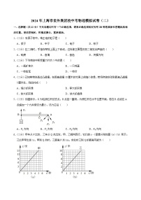 2024年上海市世外集团校中考物理模拟试卷（二）（解析版）