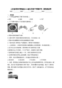 山东省菏泽市鄄城县2024届九年级下学期中考一模物理试卷(含答案)