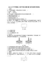 2024辽宁中考物理二轮中考复习微专题 焦耳定律专项训练 (含答案)