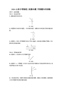 2024山东中考物理二轮微专题 作图题专项训练  (含答案)