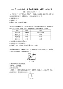 2024四川中考物理二轮重难题型精讲 专题八 电学计算（含答案）