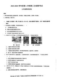 广东省深圳市福田区福田外国语教育集团2023-2024学年度下学期第三次调研考试九年级物理试卷