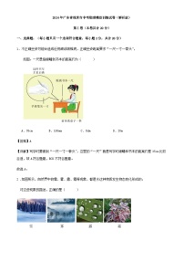 2024年广东省深圳市中考物理模拟训练试卷（解析版）
