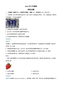 2024年江苏省徐州市县区联考中考三模物理试题