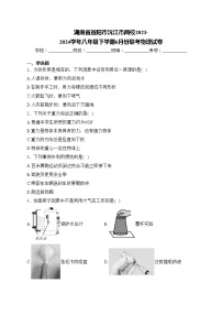 湖南省益阳市沅江市两校2023-2024学年八年级下学期6月份联考物理试卷(含答案)