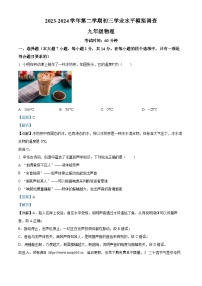 2024年广东省深圳市宝安中学（集团）中考三模物理试卷