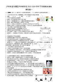 四川省泸州市龙马潭区尹吉甫学校2023-2024学年八年级物理下学期期末抽检模拟题一