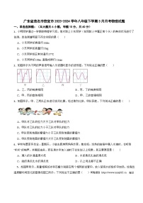 广东省茂名市信宜市2023-2024学年八年级下学期3月月考物理试题