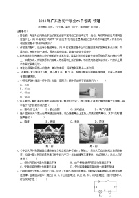2024年广东省十二市联考中考三模物理试卷