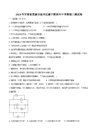 2024年甘肃省武威市凉州区康宁教研片中考物理三模试卷（含解析）