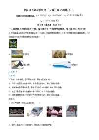 2024年湖北省武汉市武昌区中考（五调）物理试题（解析版）