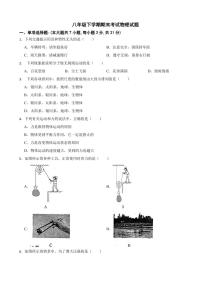 广东省惠州市2024年八年级下学期期末考试物理试题（附参考答案）