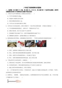 湖南省衡阳市2024年八年级下册物理期末试题卷（附参考答案）