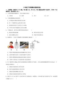 重庆市南岸区2024年八年级下学期期末物理试卷附参考答案