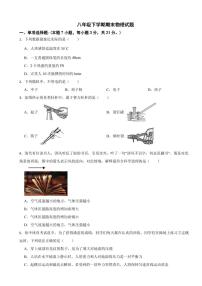 广东省茂名市2024年八年级下学期期末物理试题附参考答案