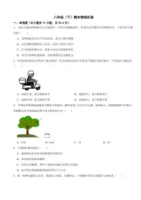 广东省深圳市南山区2024年八年级（下）期末物理试卷附答案