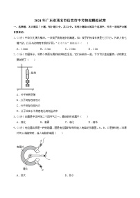 2024年广东省茂名市信宜市中考一模物理试题