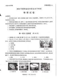 2024年陕西省中考物理试题