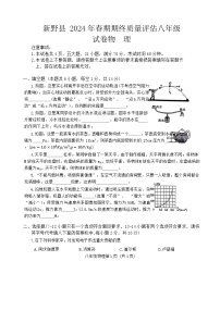 河南省南阳市新野县2023-2024学年八年级下学期期末物理试题