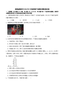 湖南省衡阳市2023-2024学年八年级物理下学期期末模拟测试卷