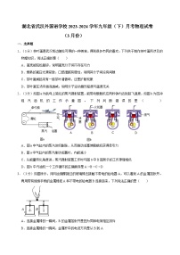 湖北省武汉外国语学校2023-2024学年九年级下学期月考物理试卷（3月份）