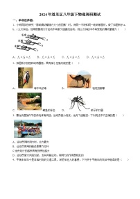 黑龙江省哈尔滨市道里区2023—2024学年八年级下学期期末物理试卷
