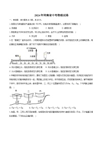 2024年河南省中考物理试卷（含解析）