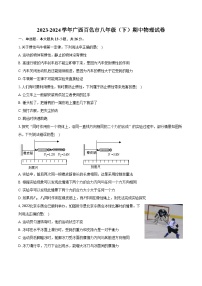 2023-2024学年广西百色市八年级（下）期中物理试卷（含答案）